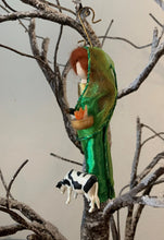 Load image into Gallery viewer, St. Brigid of Ireland Doll