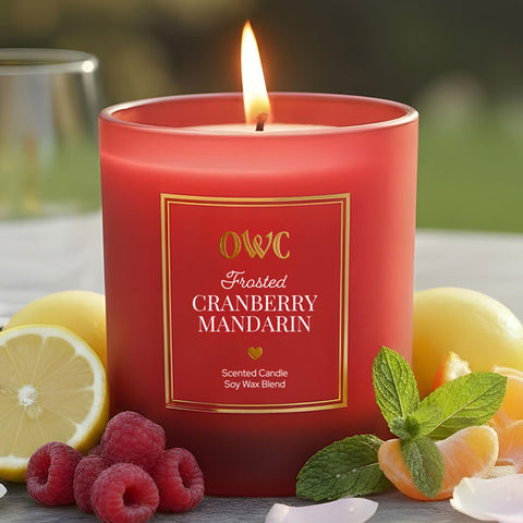 Load image into Gallery viewer, Frosted Cranberry Mandarin Soy Wax Candle