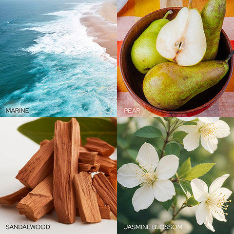 Load image into Gallery viewer, Calming Peace & Joy Soy Wax Candle
