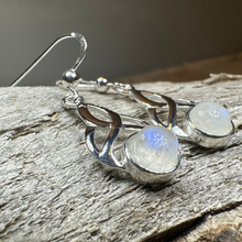 Load image into Gallery viewer, Edana Celtic Moonstone Earrings