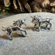 Load image into Gallery viewer, Legendary Unicorn Post Back Earrings