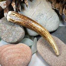 Load image into Gallery viewer, Stag Antler Kilt Pin