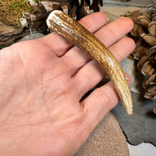 Load image into Gallery viewer, Stag Antler Kilt Pin