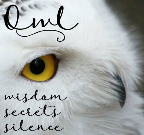 Load image into Gallery viewer, Owl Brooch, Nature Pin, Bird Jewelry, Bird Lover Gift, Wiccan Jewelry, Pagan Jewelry, Enamel Pin, Halloween Jewelry, Teacher Gift