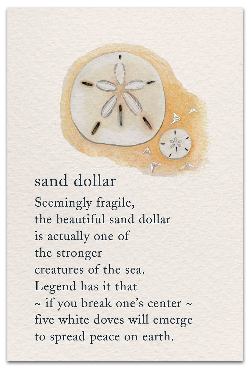 Realistic Sand Dollar Earrings