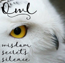 Load image into Gallery viewer, Owl Stud Earrings, Barn Owl Earrings, Silver Post Earrings, Norse Jewelry, Owl Gift, Nature Jewelry, Bird Lover Gift, Girl's Pagan Earrings