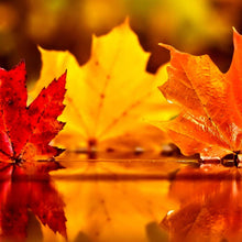 Load image into Gallery viewer, Maple Leaves Bracelet, Autumn Jewelry, Cuff Bangle Bracelet, Maple Leaf Jewelry, Nature Lover Gift, Wife Gift, Girlfriend Gift, Mom Gift