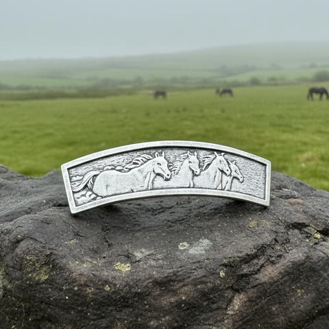 Load image into Gallery viewer, Horses Hair Clip for Women