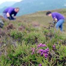 Load image into Gallery viewer, Heathergems Tree of Life Necklace