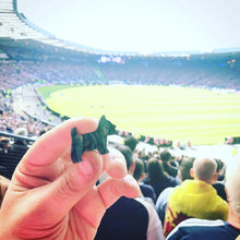 Load image into Gallery viewer, Dog Scottish Brooch, Dog Lover Gift, Scotland Jewelry, Dog Pin, Scarf Pin, Heathergem Pin, Dog Jewelry, Scottish Terrier Gift, Scotland Pin