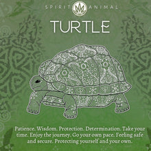 Load image into Gallery viewer, Abalone Turtle Necklace