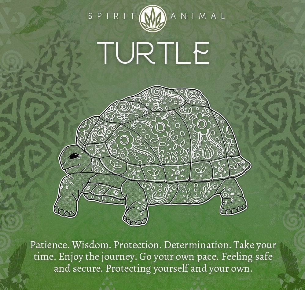 Farraige Turtle Love Earrings — view 7