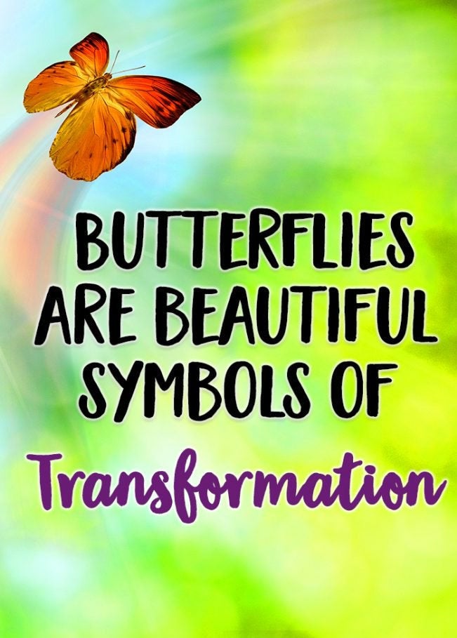 Courtney Butterfly Necklace — view 13
