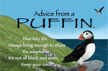 Load image into Gallery viewer, Puffin Earrings, Scotland Jewelry, Bird Stud Earrings, Seashore Bird Jewelry, Cute Earrings, Scottish Jewelry, Puffin Jewelry, Post Earrings