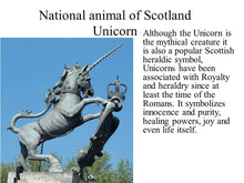 Load image into Gallery viewer, Legendary Unicorn Necklace