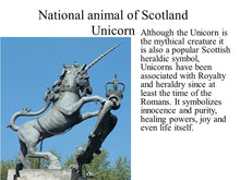 Load image into Gallery viewer, Prancing Unicorn Necklace