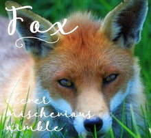 Load image into Gallery viewer, Fox Necklace, Nature Necklace, Marathon Runner Gift, Sexy Lady, Foxy Jewelry, Girlfriend Gift, Anniversary Gift, Animal Necklace, Marist