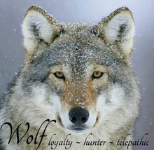 Load image into Gallery viewer, Wolf Necklace, Celtic Jewelry, Moon Necklace, Pagan Jewelry, Viking Jewelry, Crescent Moon Gift, Graduation Gift, Celestial Jewelry, Wiccan