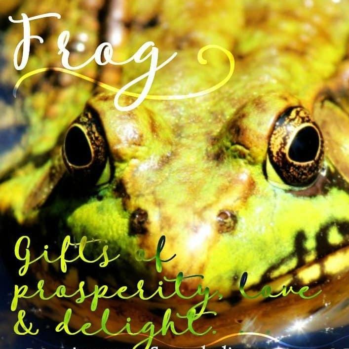 Abalone Frog Earrings — view 11