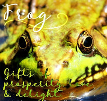 Load image into Gallery viewer, Sásta Frog Earrings