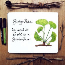 Load image into Gallery viewer, Gingko Ponytail Holder