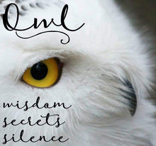 Load image into Gallery viewer, Silver Owl Stud Earrings