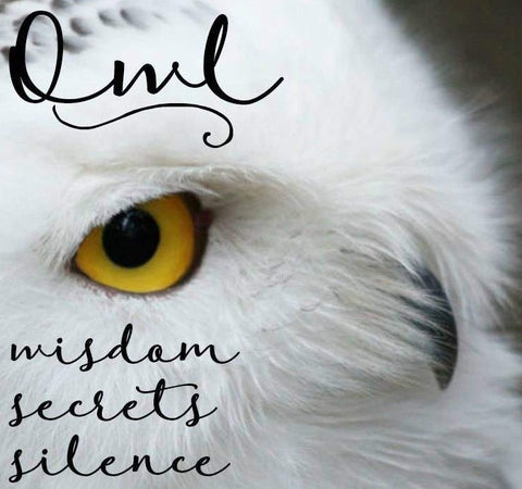 Load image into Gallery viewer, Silver Owl Stud Earrings