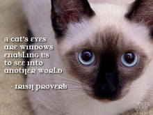 Load image into Gallery viewer, Celtic Cat Bracelet, Celtic Jewelry, Bangle Bracelet, Cat Jewelry, Ireland Jewelry, Wife Gift, Girlfriend Gift, Sister Gift, Cat Mom Gift