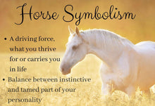 Load image into Gallery viewer, Horse Hair Clip, Celtic Barrette, Horse Jewelry, Pagan Jewelry, Friendship Gift, Wiccan Jewelry, Native American Jewelry, Animal Barrette