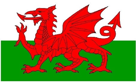 Welsh Dragon Cufflinks for Men — view 8