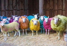 Load image into Gallery viewer, Sheep Scarf Ring, Scotland Jewelry, Irish Jewelry, Celtic Jewelry, Outlander Jewelry, Celtic Spiral Jewelry, Sister Gift, Scarf Slide