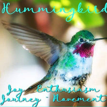 Load image into Gallery viewer, Hummingbird Necklace, Bird Jewelry, Pink Jewelry, Crystal Jewelry, Sister Gift, Girlfriend Gift, Mom Gift, Wife Gift, Bird Lover Gift