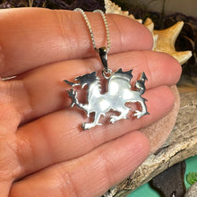 Load image into Gallery viewer, Welsh Dragon Necklace, Wales Pendant, Large Celtic Dragon, Celtic Jewelry, Silver Dragon, Pagan Jewelry, Wiccan Jewelry, Fantasy Jewelty