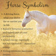 Load image into Gallery viewer, Horse Earrings, Silver Stud Earrings, Equestrian Jewelry, Horse Post Earrings, Horseback Rider Gift, Pony Jewelry, Cool Cowgift Gift