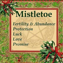 Load image into Gallery viewer, Mistletoe Necklace, Celtic Jewelry, Leaf Jewelry, Ireland Gift, Irish Jewelry, Scotland Jewelry, Silver Anniversary Gift, Graduation Gift