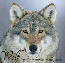 Load image into Gallery viewer, Wolf Necklace, Crescent Moon Jewelry, Norse Jewelry, Pagan Jewelry, Viking Jewelry, Celtic Knot Pendant, Animal Jewelry, Direwolf Jewelry