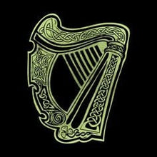 Load image into Gallery viewer, Irish Harp Brooch, Celtic Jewelry, Irish Lapel Pin, Harp Brooch, Ireland Brooch, Anniversary Gift, Cap Badge Pin, Bagpiper Gift, Ireland Pin