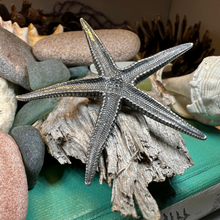 Load image into Gallery viewer, Starfish Brooch