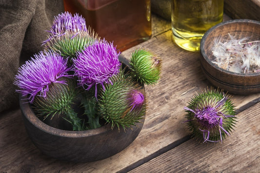 Thistle Flowers In A Bowl On A Table