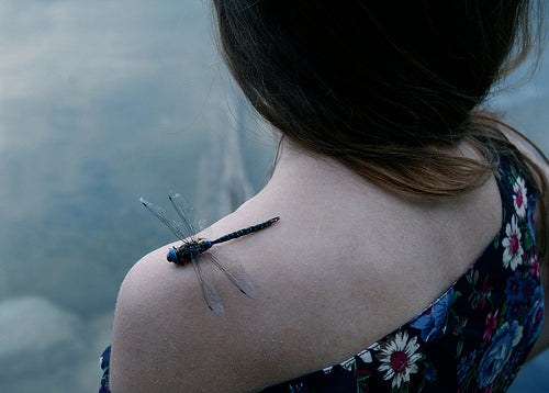 Dragonfly Jewelry collection image