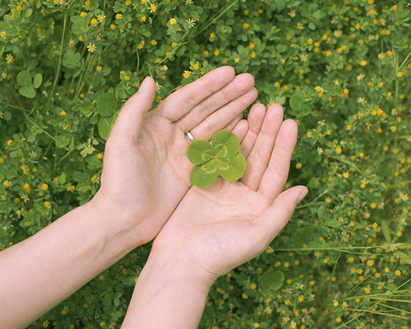 Shamrock Jewelry collection image