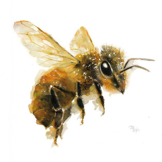 Bees Jewelry collection image