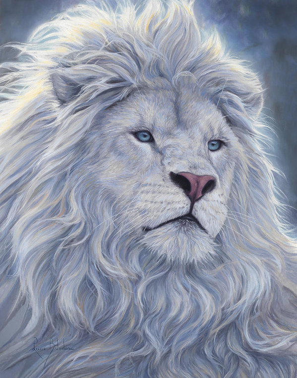 Lion Jewelry collection image