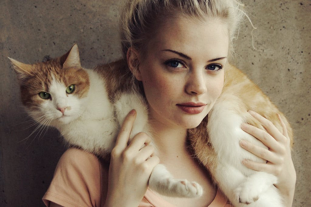 Cat Jewelry collection image
