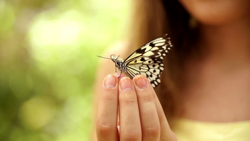 Insects Jewelry collection image