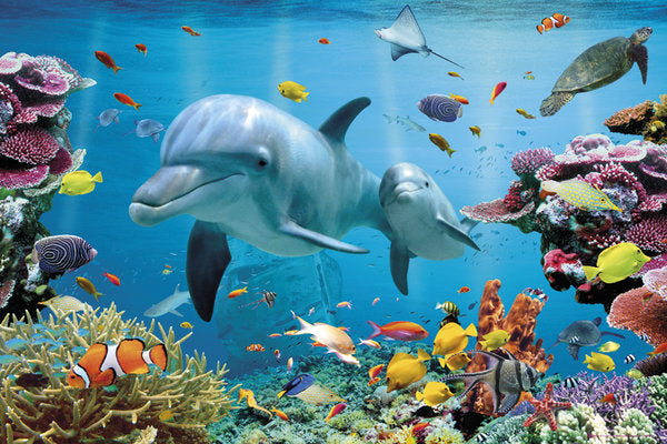 Sea Life Jewelry collection image