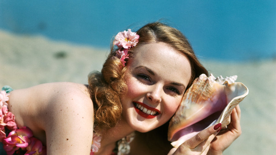 Seashell Jewelry collection image