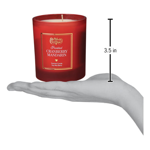 Load image into Gallery viewer, Frosted Cranberry Mandarin Soy Wax Candle
