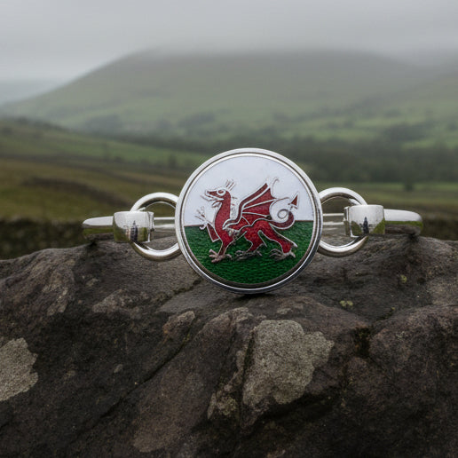 Enamel Celtic Welsh Dragon Bracelet for Women