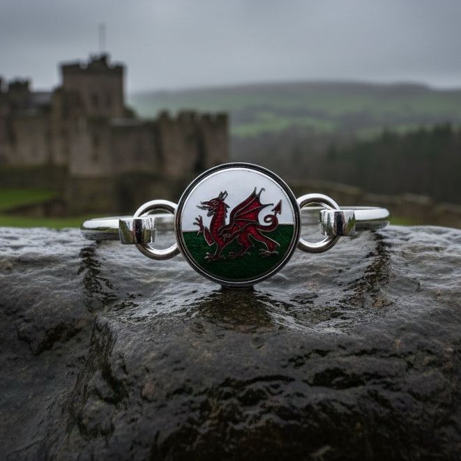 Enamel Celtic Welsh Dragon Bracelet for Women